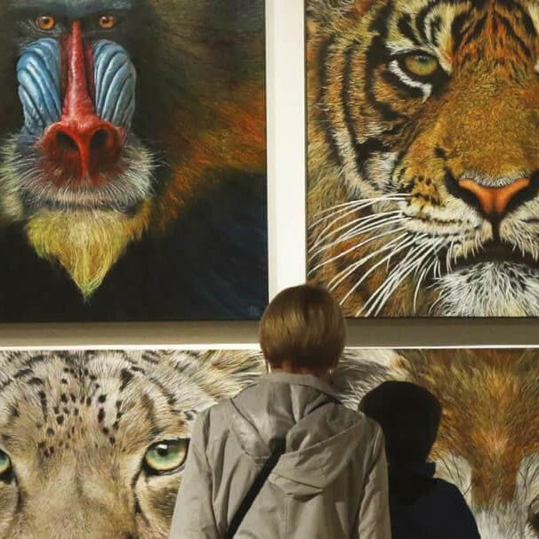 Wildlife Artist Of The Year 2020 Competition - Clubcard Printing USA
